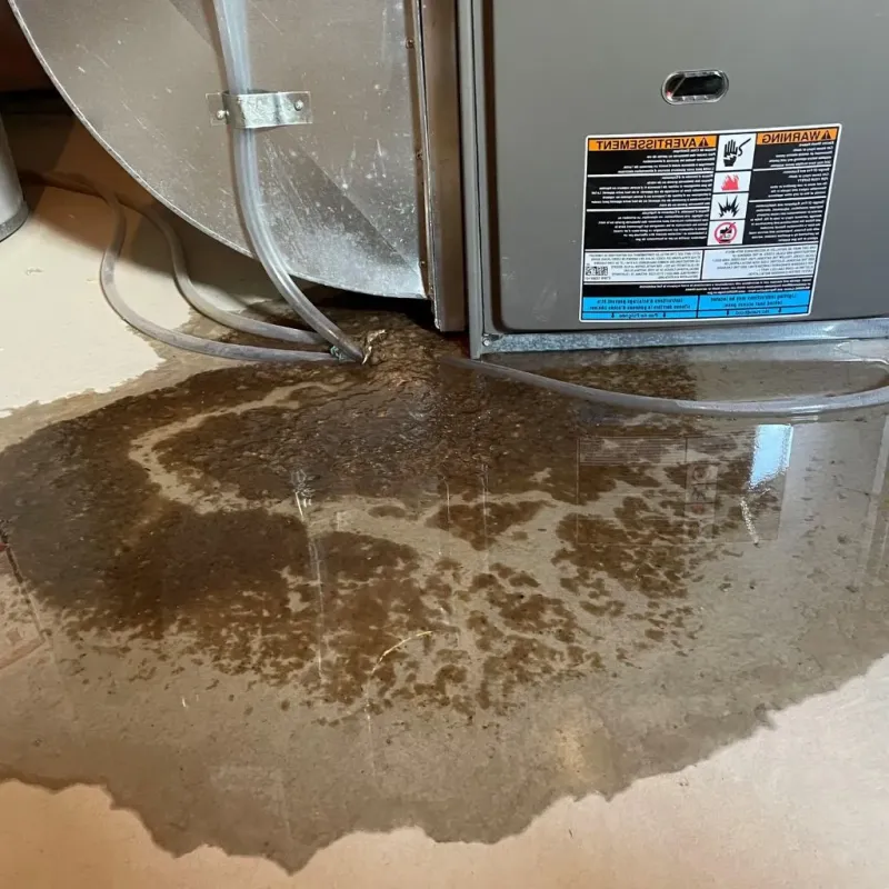 Pipe Burst and Leak Restoration in Chester, VT