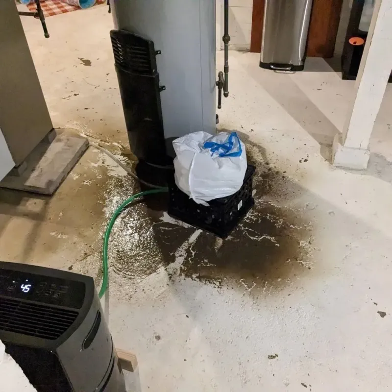 Sewage Backup Cleanup Service in Chester, VT